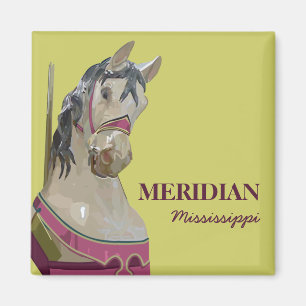 Íman Ímã quadrado meridiano