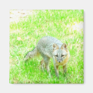 Íman Ímã quadrado - personalizado