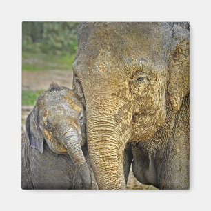 Íman Ímã recém-nascido do abraço do elefante