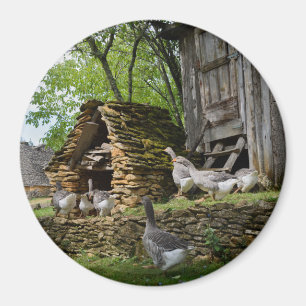 Íman Ímã redondo da fazenda tradicional do ganso dos