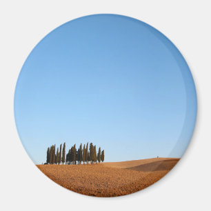 Íman Ímã redondo da paisagem de Toscânia com árvore