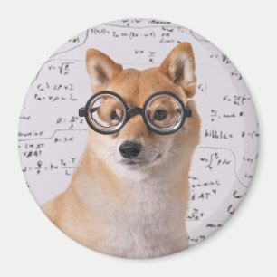 Íman Ímã redondo da polegada do ¼ do professor Barkl