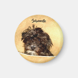 Íman Ímã Redondo de Cachorro Schnoodle