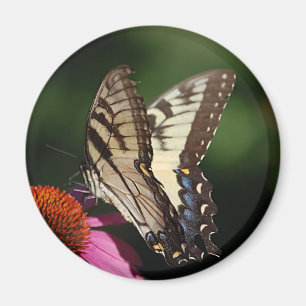 Íman Ímã redondo de Swallowtail do tigre ocidental
