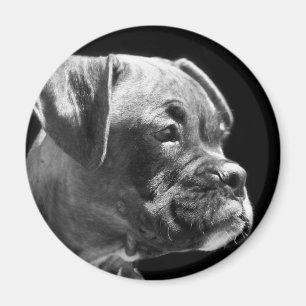 Íman Ímã redondo do filhote de cachorro do pugilista