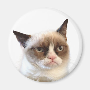 Íman Ímã redondo do gato mal-humorado