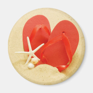 Íman Ímã redondo dos flip-flops