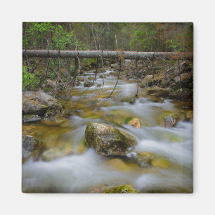 Íman Ímã rochoso da angra da floresta
