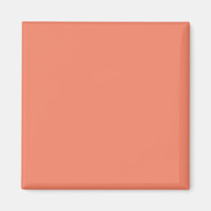 Íman Ímã Rosa Salmão   Decoração Minimalista Chic