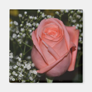 Íman Ímã Rose-005 coral