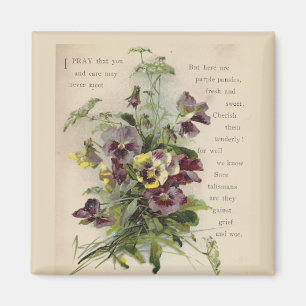 Íman Ímã roxo do poema dos Pansies do Victorian