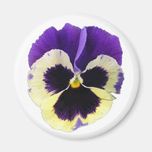 Íman Ímã roxo e amarelo redondo do amor perfeito