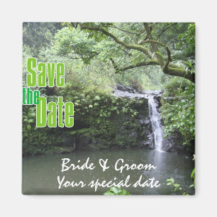 Íman Imã salve a data