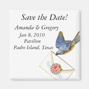 Íman Imã salve a data Bluebird