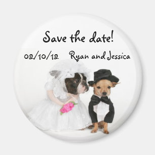 Íman Imã salve a data bonito do casamento do cão