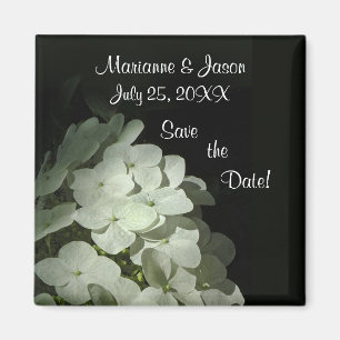 Íman Imã salve a data branca do Hydrangea