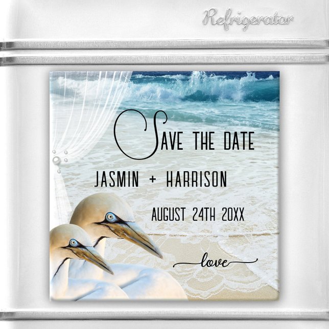 Íman Imã salve a data de Casamento de Praia Gannet (Save the Date magnet featuring two beautiful gannets on a beach with wedding veil, pearls and lace)