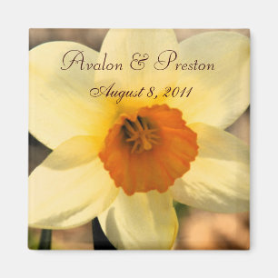 Íman Imã salve a data Floral de Daffodil Amarelo