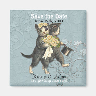 Íman Imã salve o dia dos gatos do casamento - Aqua