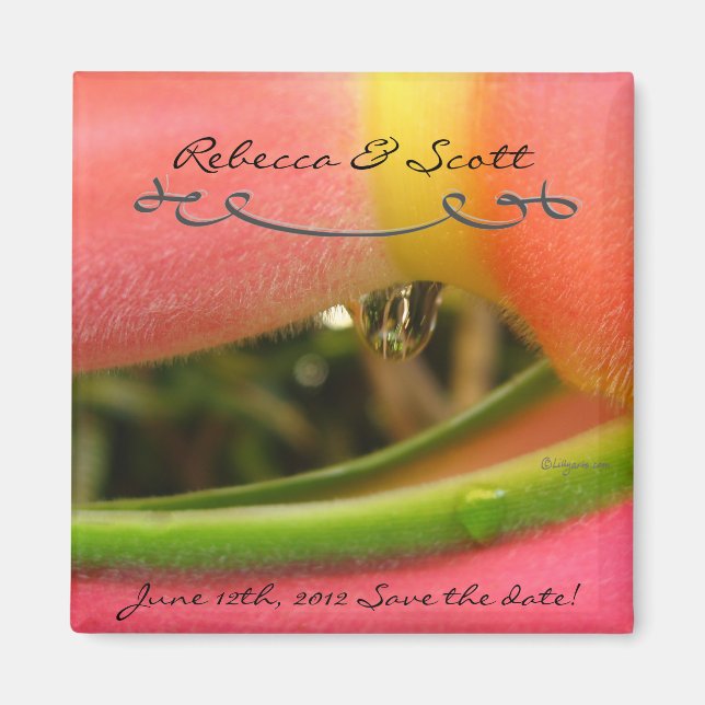Íman Imã salve o dia Personalizadas Para Casamentos (Frente)
