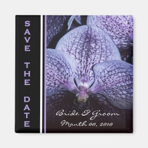 Íman Imã salve o dia roxo da orquídea