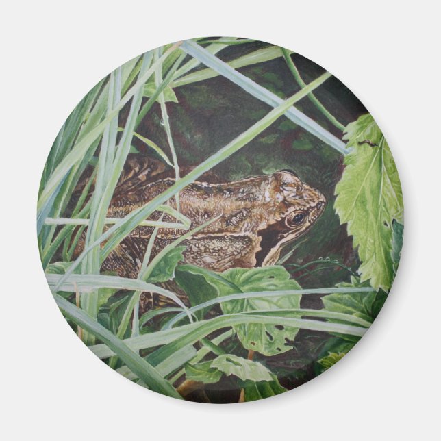 Íman ímã sapo (Frente)