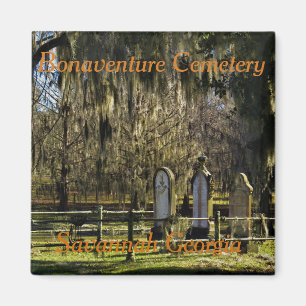 Íman ímã Savannah Bonaventure