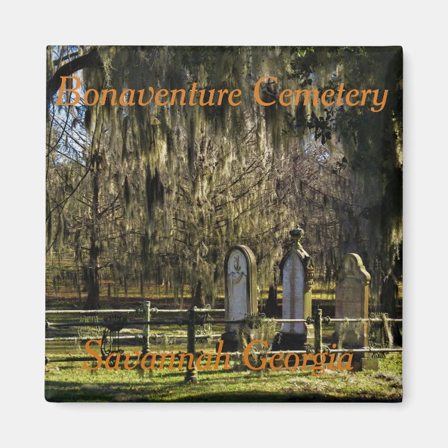 Íman ímã Savannah Bonaventure (Frente)