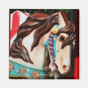 Íman Ímã silencioso da fotografia do cavalo do