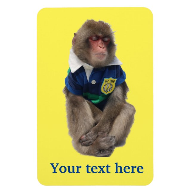 Íman imã Siotaro sonolento.眠 い し お た ろ う (Vertical)