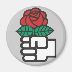 Íman Ímã socialista