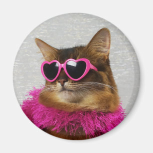 Íman Ímã somaliano Glam do gato
