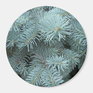 Íman Ímã spruce azul