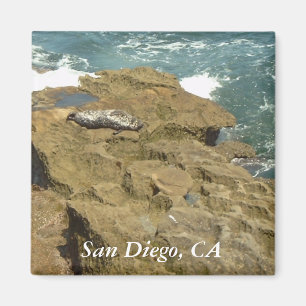 Íman Ímã Sunbathing do selo de San Diego