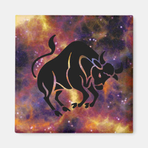 Íman ímã touro taurus