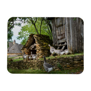 Íman Ímã tradicional do retângulo da fazenda do gans