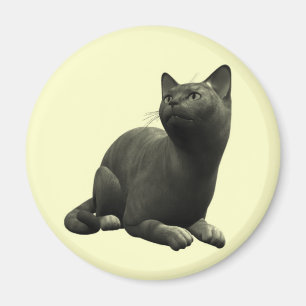 Íman Ímã tranquilo do gato preto