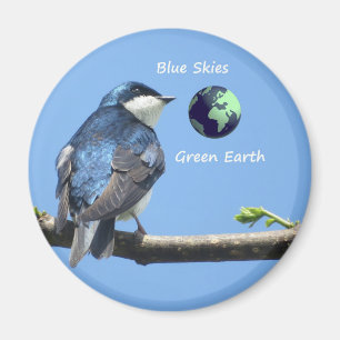 Íman ímã Tree Swallow Ecology