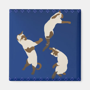 Íman Ímã três Siamese brincalhão