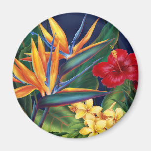 Íman Ímã tropical do paraíso