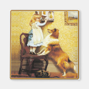 Íman Ímã: Um Pleader especial