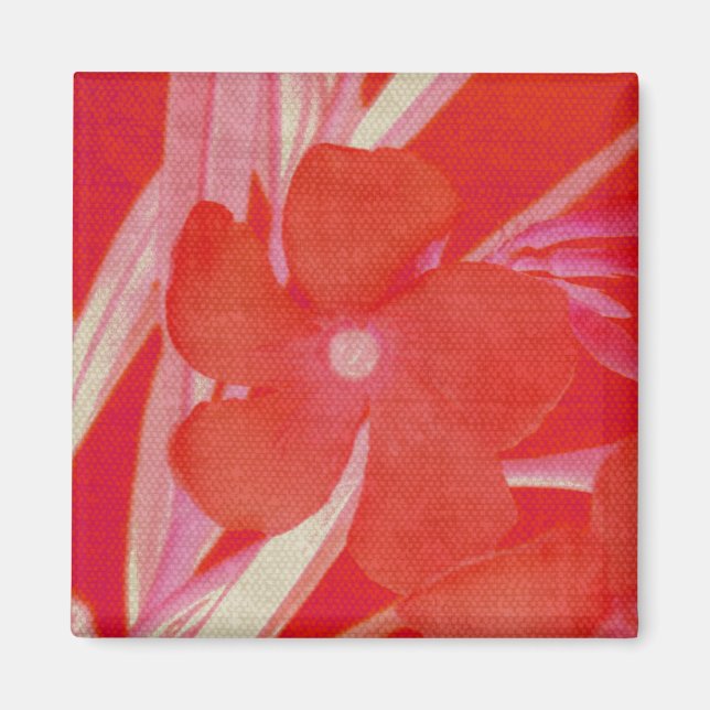 Íman Ímã vermelho da flor (Frente)
