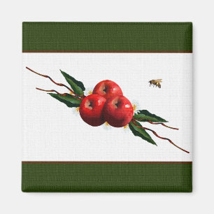 Íman Ímã vermelho do desenhista de Apple