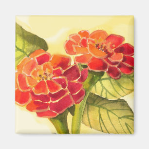 Íman Ímã vermelho dos Zinnias