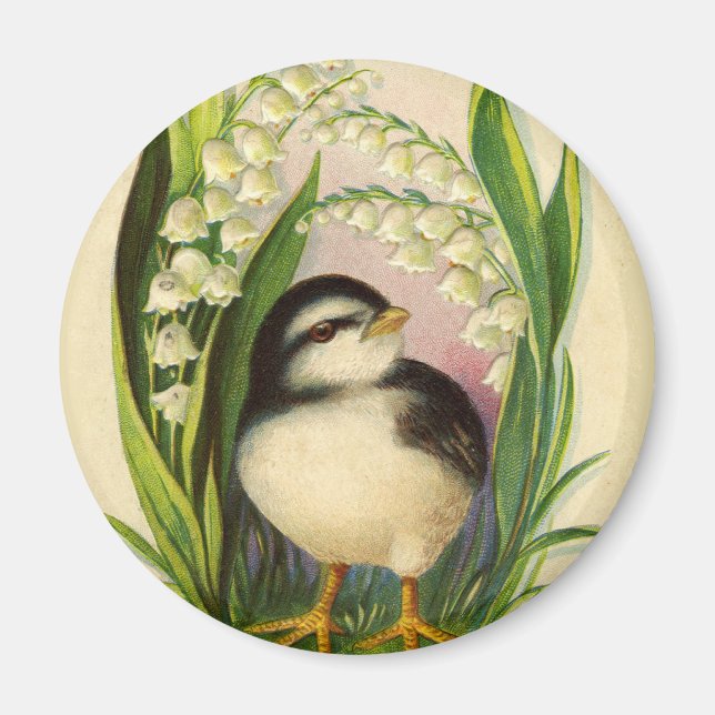 Íman Ímã Vintage Little Bird (Frente)
