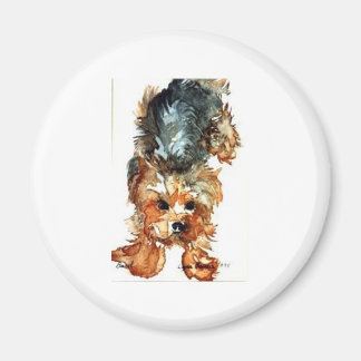 Íman imã - Yorkshire Terrier