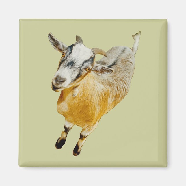 Íman Imagem Afro-Pigmy (Frente)