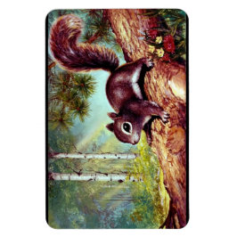 Íman Imagem antiga do Esquilo de Vintage