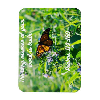 Íman Imagem anual 2023