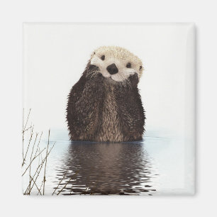 Íman Imagem bonito dos animais selvagens da lontra